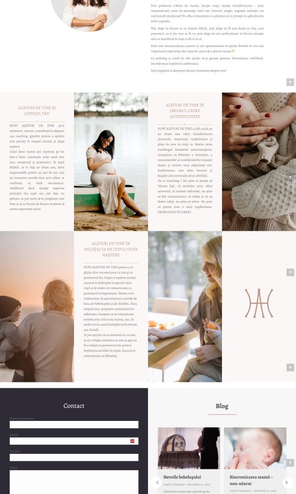 Site de prezentare si magazin online andreeahanescu 9