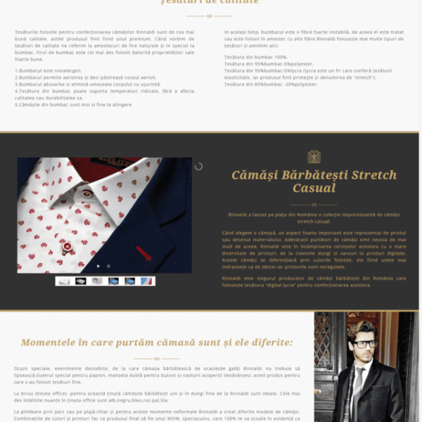 Servicii web design rinnaldi (1)
